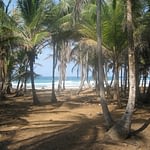 Playa San Blas